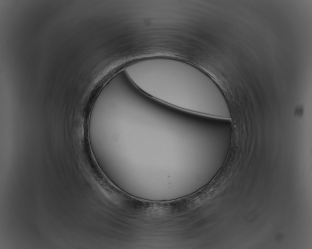 X0000095670350200801081045