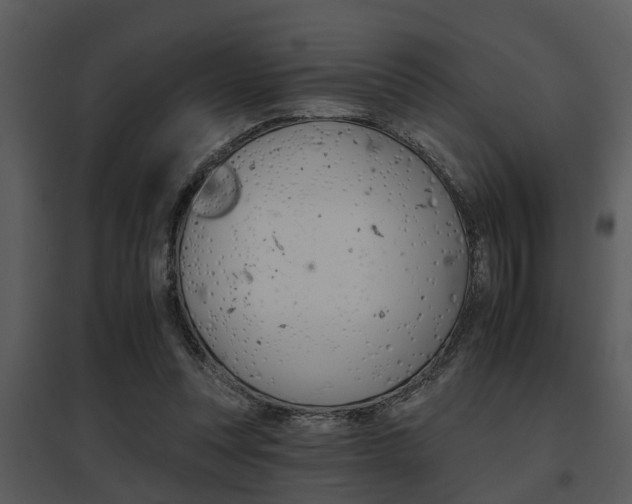 X0000095670351200801081045