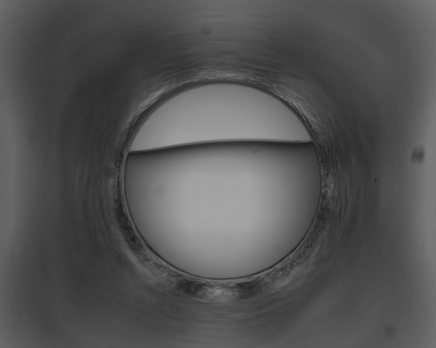 X0000095670352200801081045
