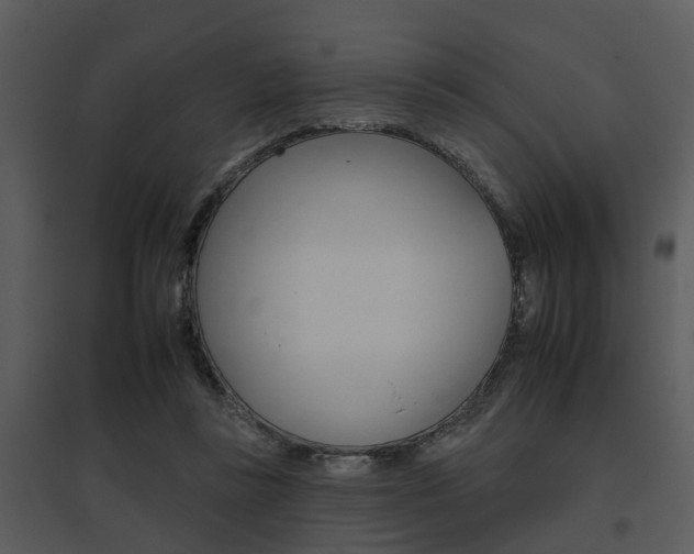 X0000095670355200801081045