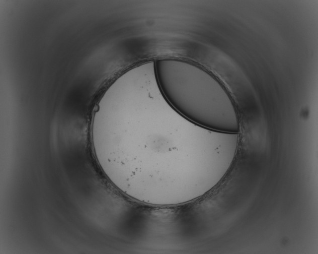 X0000095670357200801081045