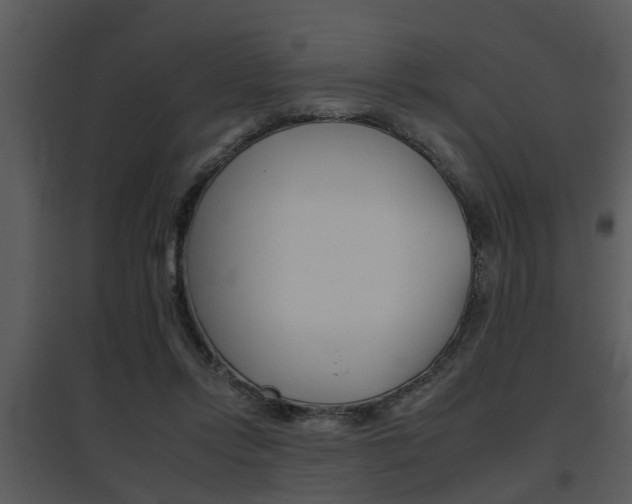 X0000095670358200801081045