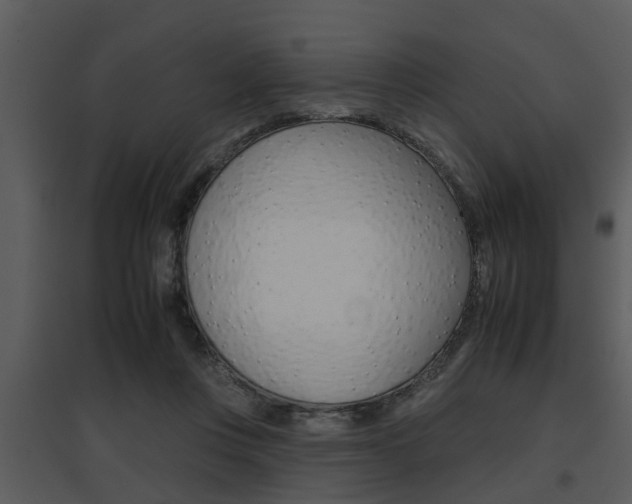 X0000095670359200801081045