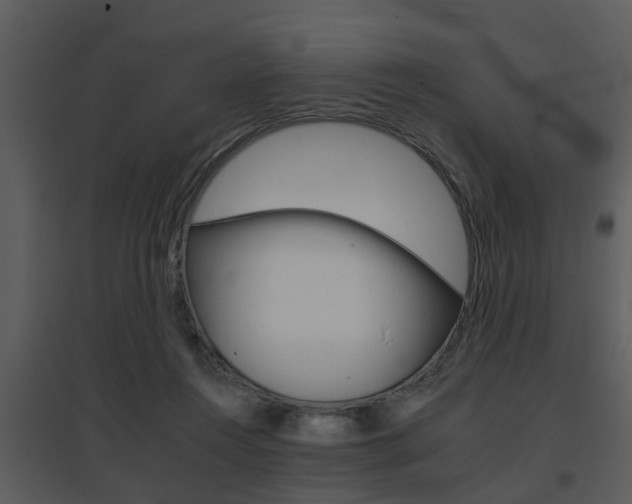 X0000095670360200801081045