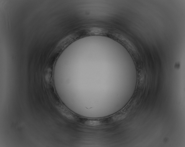 X0000095670361200801081045