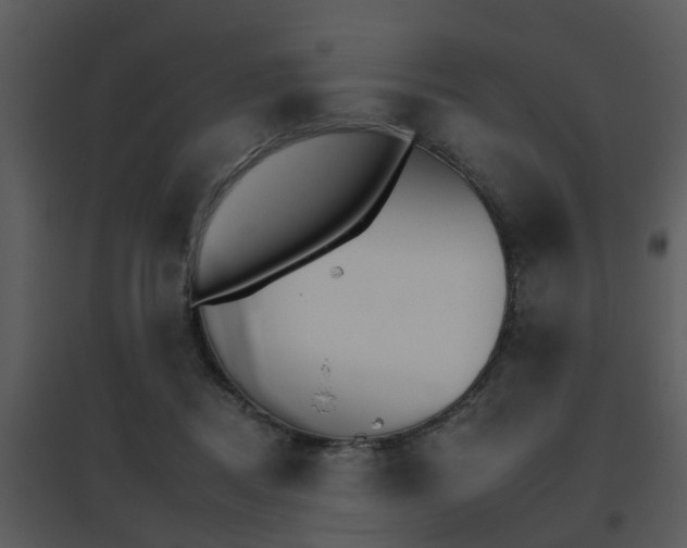 X0000095670362200801081045