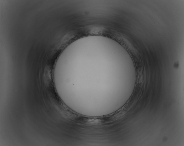 X0000095670363200801081045
