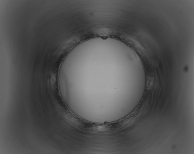 X0000095670365200801081045