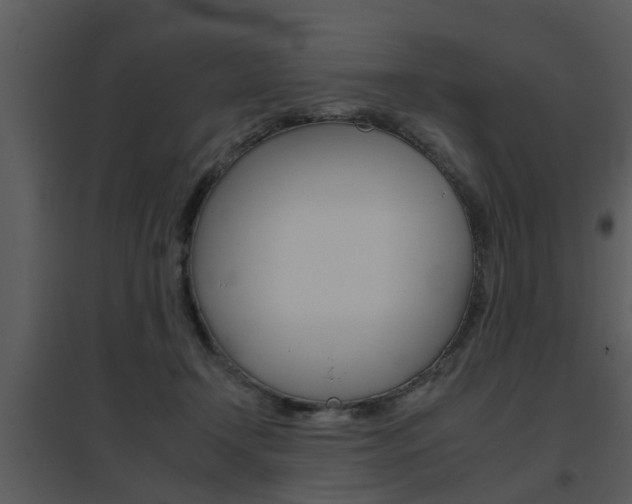 X0000095670366200801081045