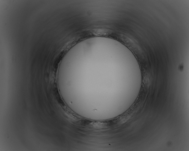 X0000095670367200801081045