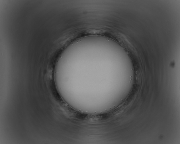 X0000095670368200801081045