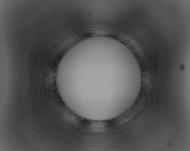 X0000095670369200801081045