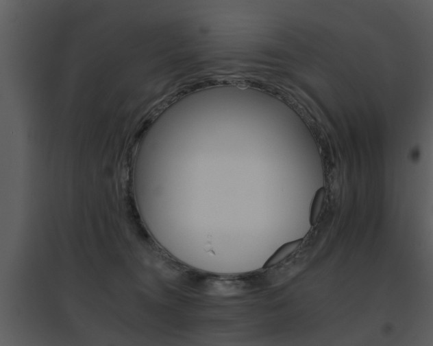 X0000095670372200801081045