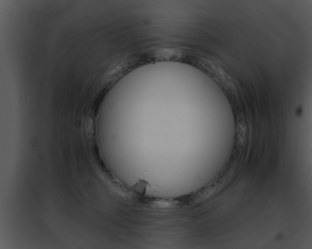 X0000095670375200801081045