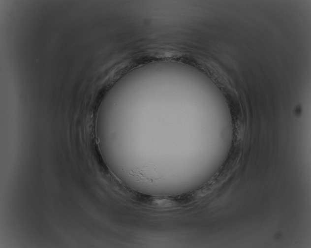 X0000095670376200801081045