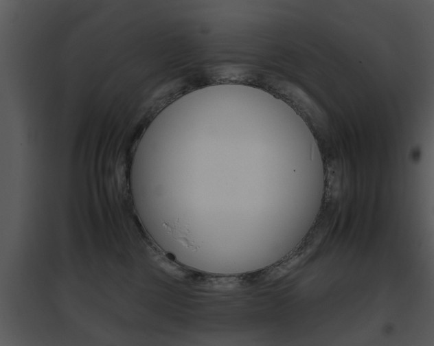 X0000095670377200801081045