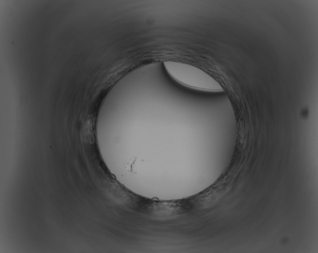 X0000095670378200801081045