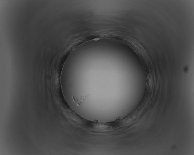 X0000095670380200801081045