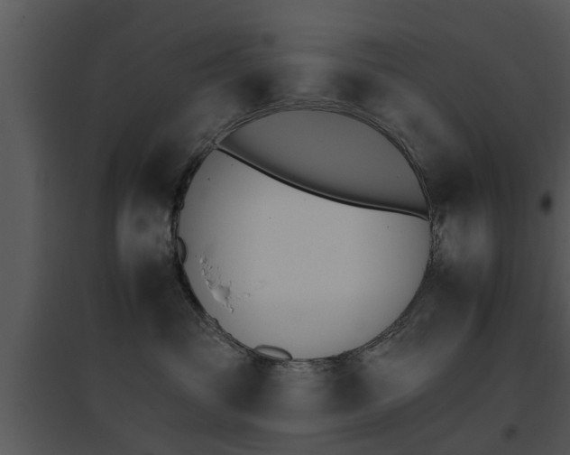 X0000095670381200801081045