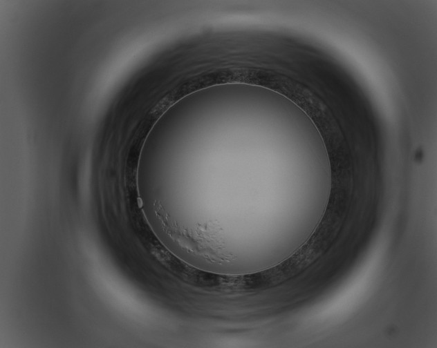 X0000095670382200801081045