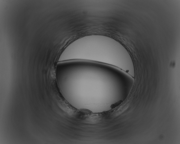 X0000095670384200801081045