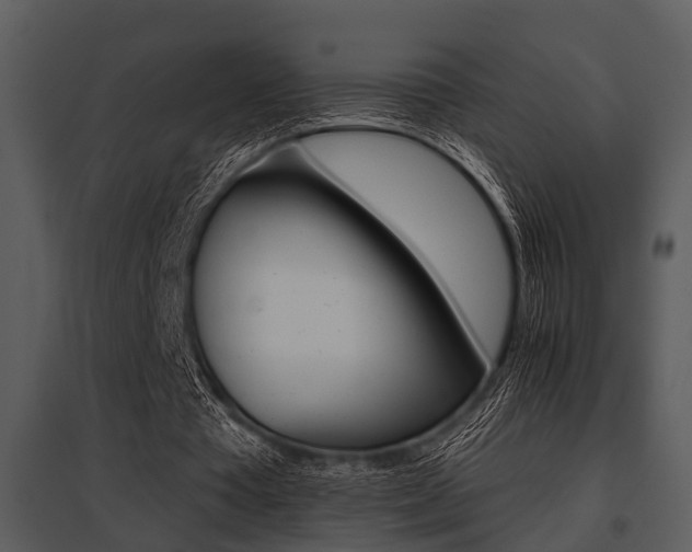 X0000095670385200801081044