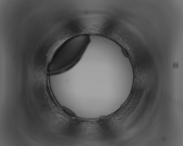 X0000095670386200801081044