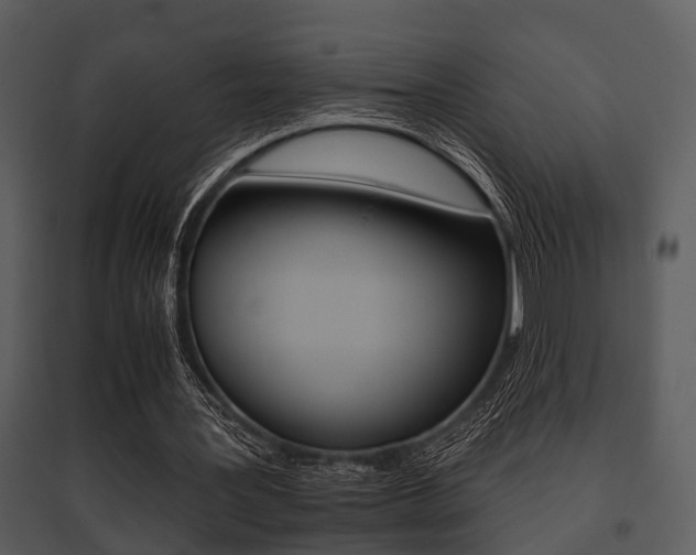 X0000095670387200801081044