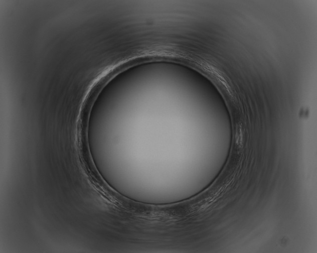 X0000095670388200801081044