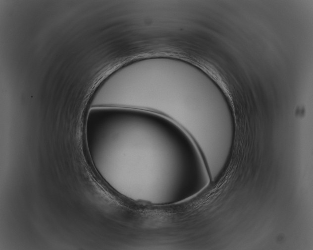 X0000095670389200801081044