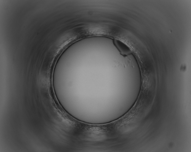 X0000095670390200801081044