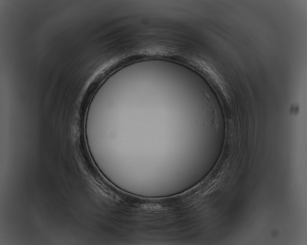 X0000095670392200801081044