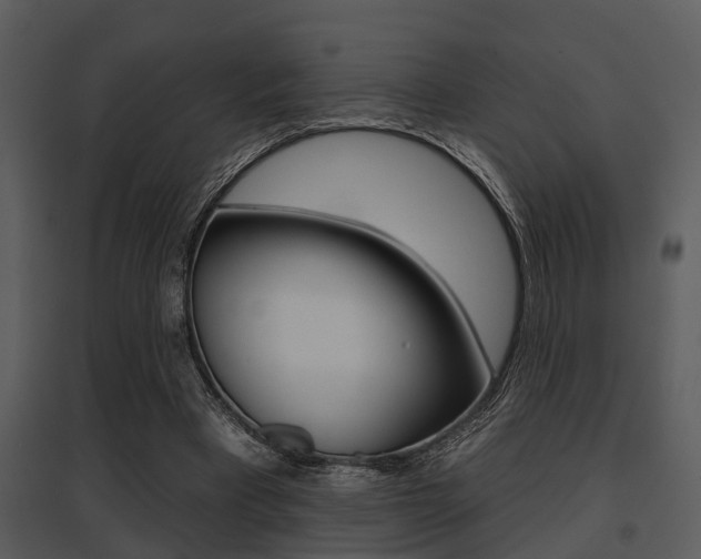X0000095670393200801081044