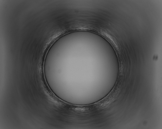 X0000095670394200801081044