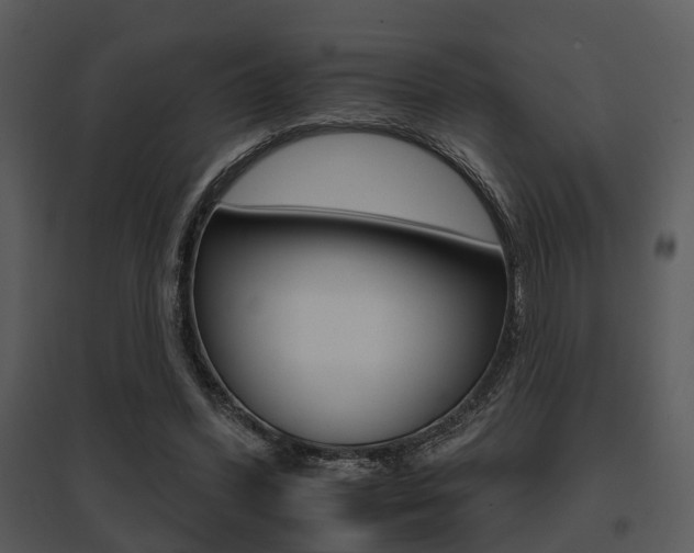 X0000095670396200801081044