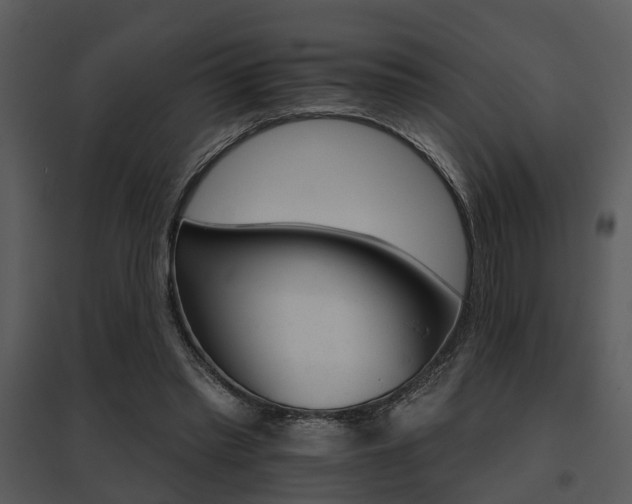 X0000095670397200801081044