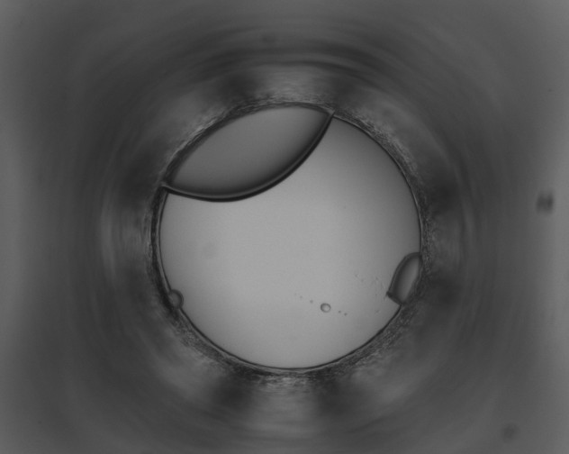 X0000095670398200801081044