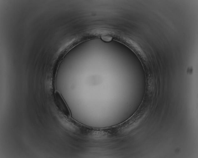 X0000095670399200801081044
