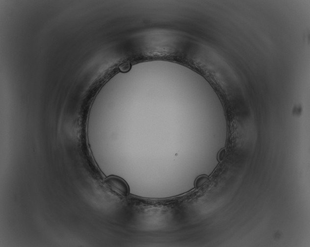 X0000095670400200801081044