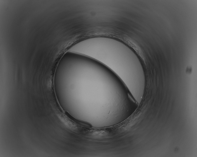 X0000095670401200801081044