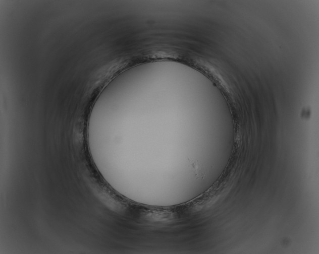 X0000095670402200801081044