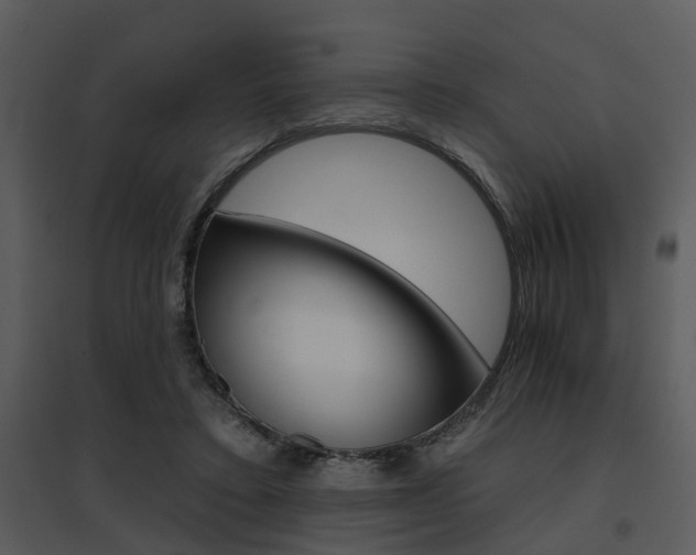X0000095670403200801081044