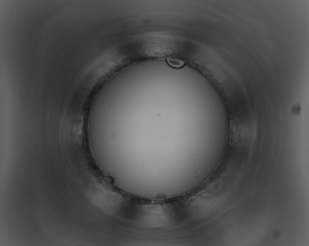 X0000095670404200801081044