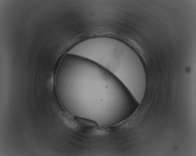 X0000095670405200801081044