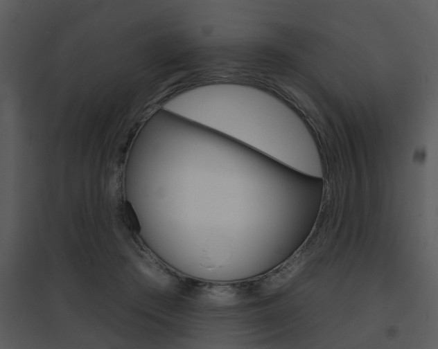 X0000095670409200801081044