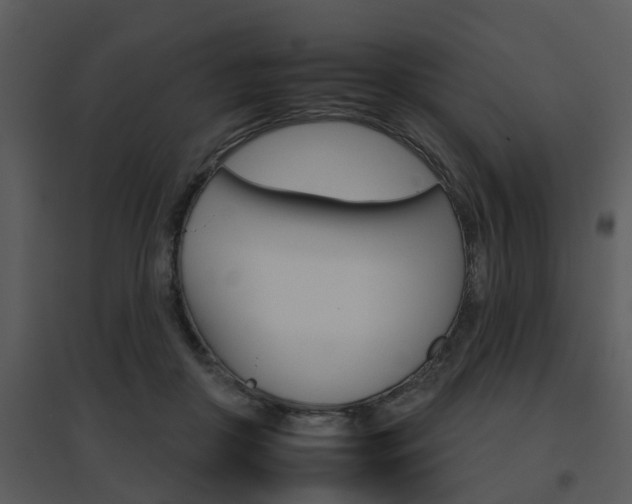 X0000095670410200801081044