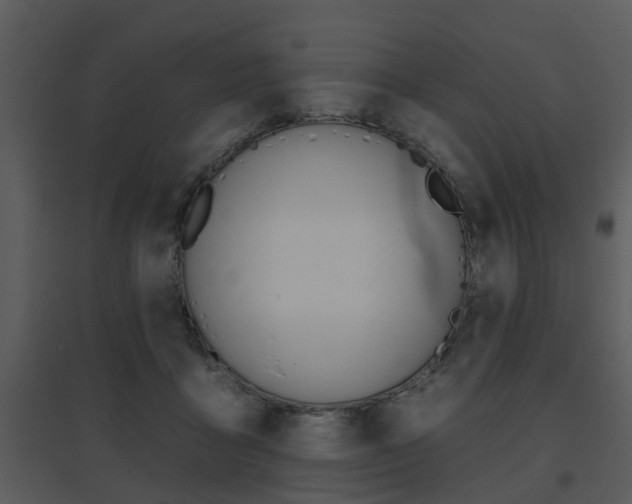 X0000095670411200801081044