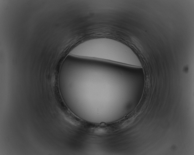 X0000095670412200801081044