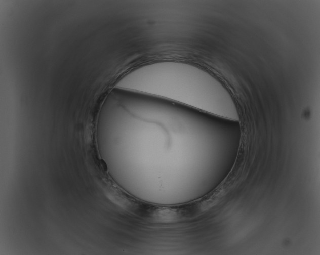 X0000095670413200801081044