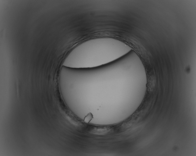 X0000095670414200801081044